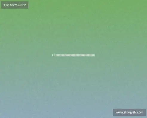 世界杯决赛门票价格与抢票攻略